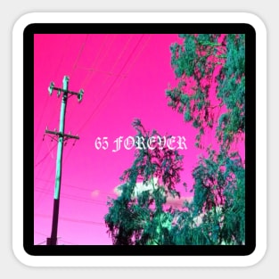 65 Forever Sticker